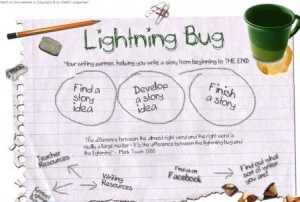 lightning bug